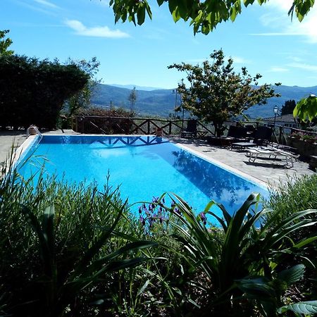 Casa Mezzuola Agriturismo Villa Greve in Chianti Eksteriør bilde