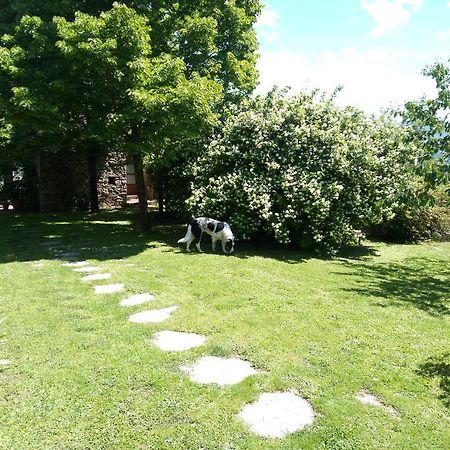 Casa Mezzuola Agriturismo Villa Greve in Chianti Eksteriør bilde