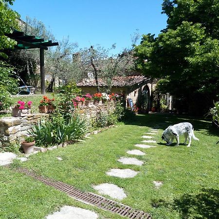 Casa Mezzuola Agriturismo Villa Greve in Chianti Eksteriør bilde