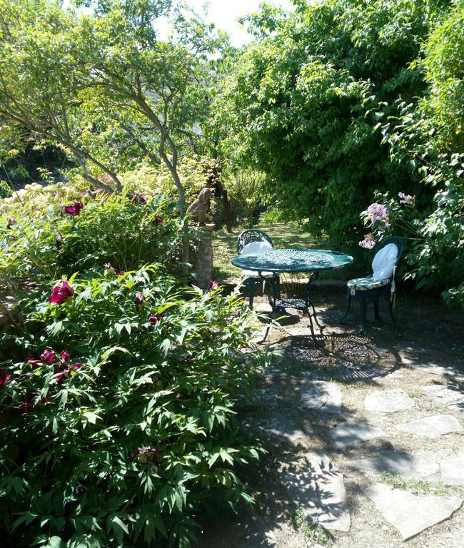 Casa Mezzuola Agriturismo Villa Greve in Chianti Eksteriør bilde