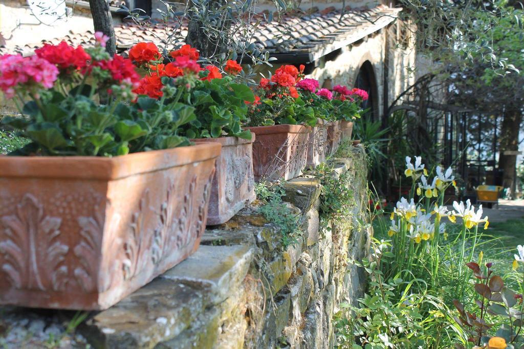 Casa Mezzuola Agriturismo Villa Greve in Chianti Eksteriør bilde