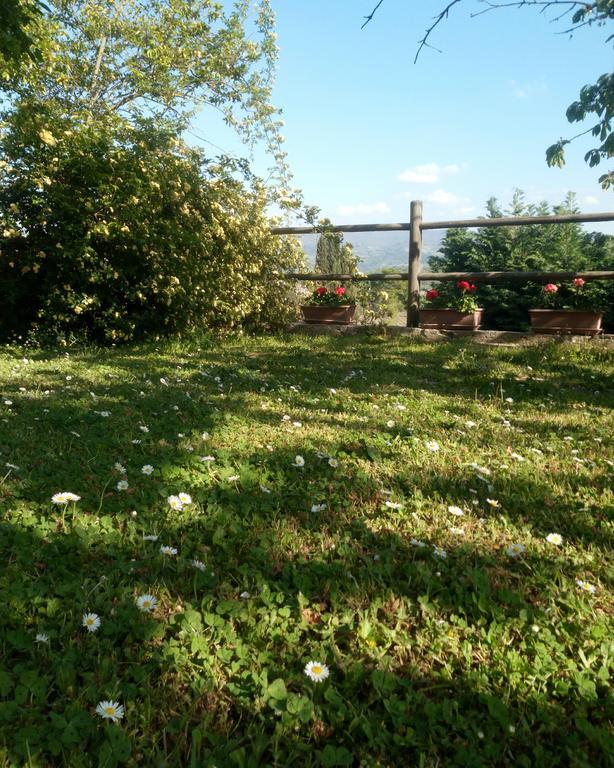 Casa Mezzuola Agriturismo Villa Greve in Chianti Eksteriør bilde