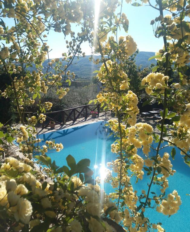 Casa Mezzuola Agriturismo Villa Greve in Chianti Eksteriør bilde