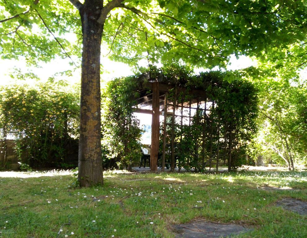 Casa Mezzuola Agriturismo Villa Greve in Chianti Eksteriør bilde