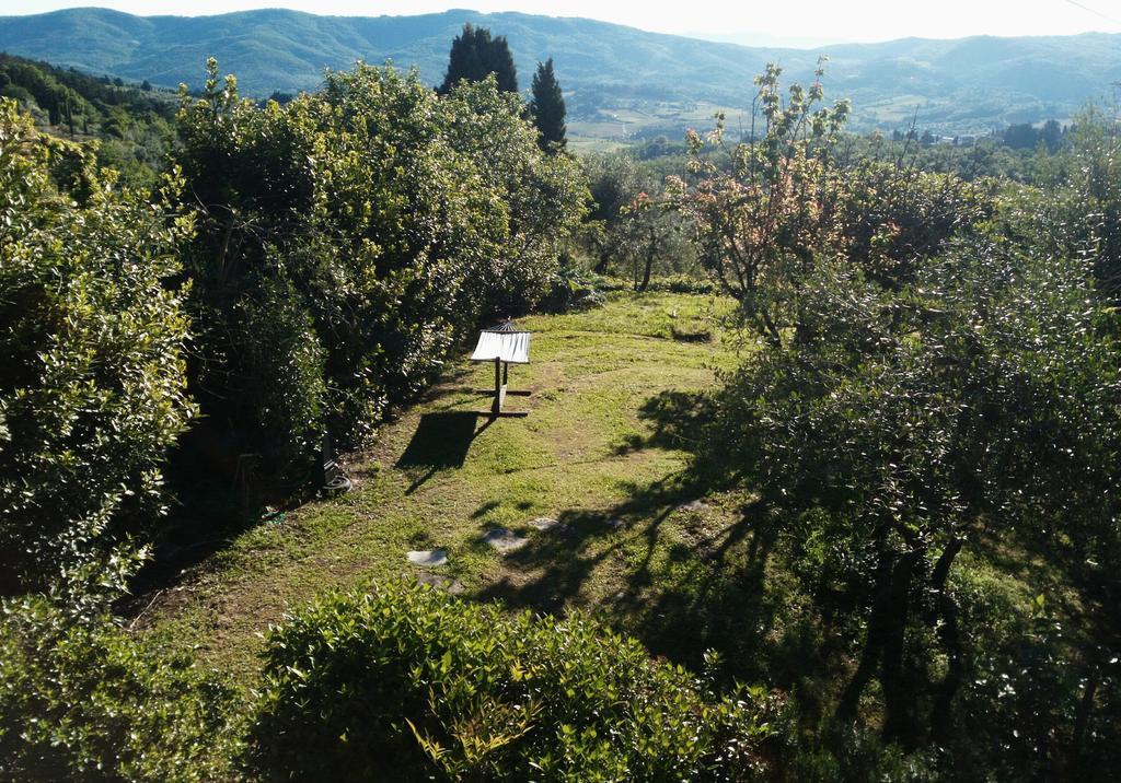 Casa Mezzuola Agriturismo Villa Greve in Chianti Eksteriør bilde