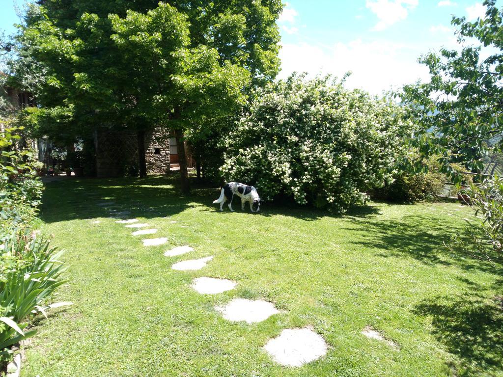 Casa Mezzuola Agriturismo Villa Greve in Chianti Eksteriør bilde