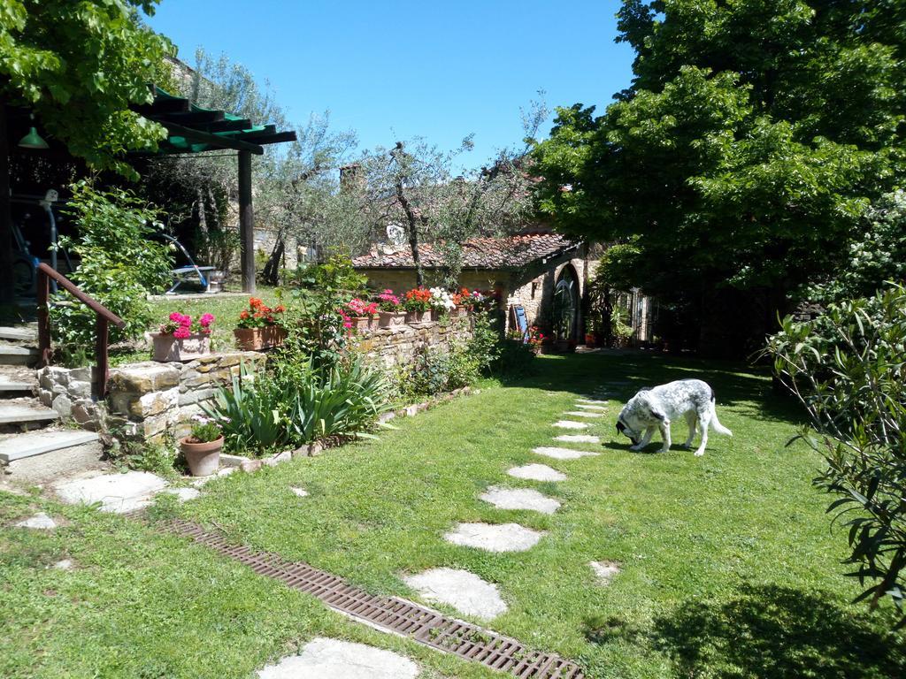 Casa Mezzuola Agriturismo Villa Greve in Chianti Eksteriør bilde